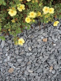 Gravier gris clair - Jardivrac - Décoration et matériaux de Jardin