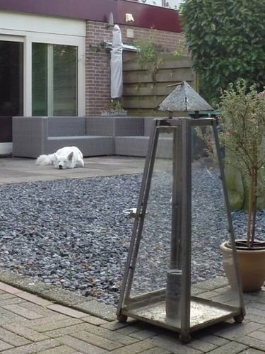 Ardennensplitt Grau 14 - 20 verlegt