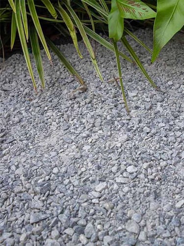 Albero gris 0 - 8mm