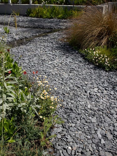 Ardoise noire gravier jardin paysagé
