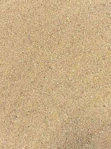 Areia de Sílica Praia humida