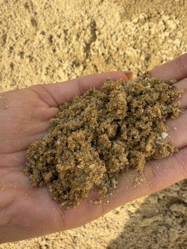 Arena de Juego