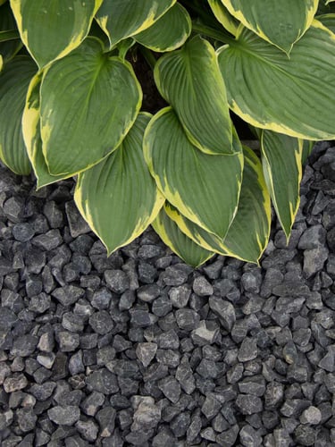 Basalt Splitt 16 - 32mm verlegt