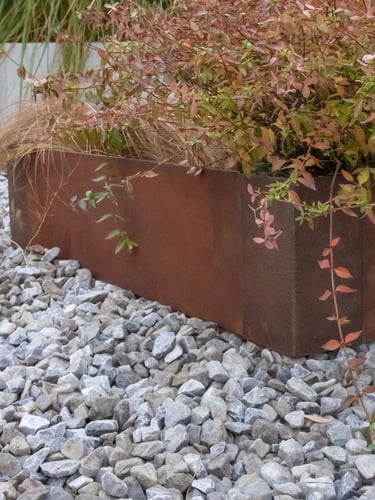Multi-Edge ADVANCE Cortenstahl Pflanzkübel 60x60x20cm verlegt