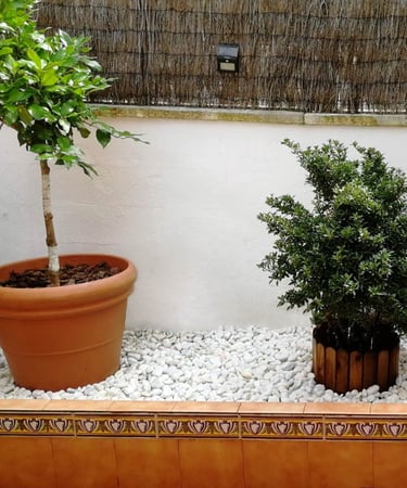 Jardín creada con Canto Rodado Blanco 16 - 25mm