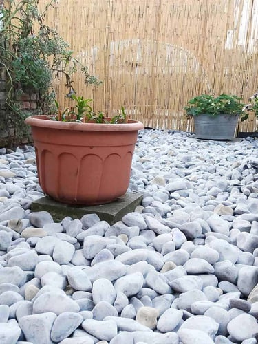 Carrara Kies Gabionensteine 40 - 80mm (4 - 8cm) verlegt