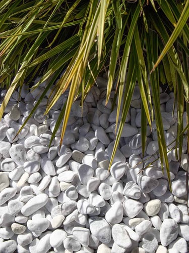 Carrara galets blanc 16 - 25mm jardin paysagé