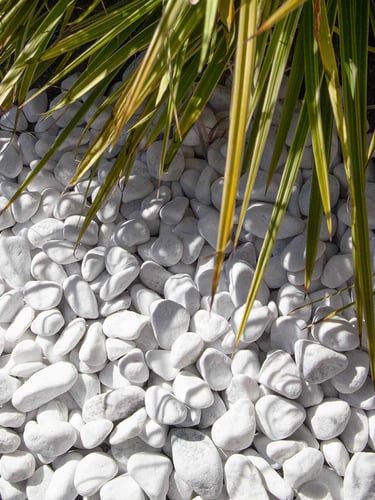 Carrara Kies 16 - 25mm (angelegt)