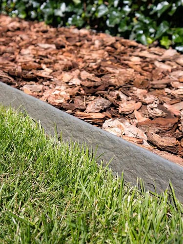 Casca de Pinheiro instalada