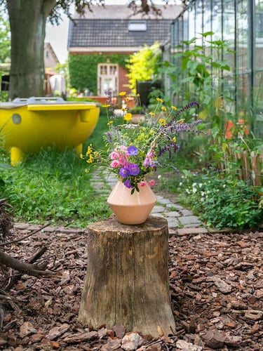 Casca de Pinheiro instalada