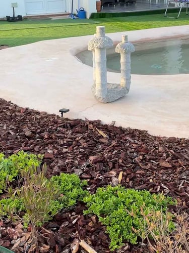 Casca de Pinheiro instalada