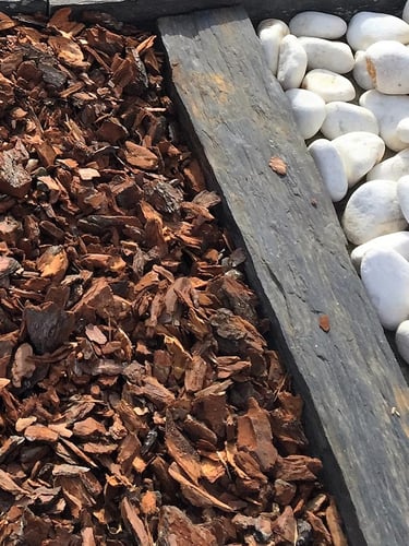 Casca de Pinheiro instalada