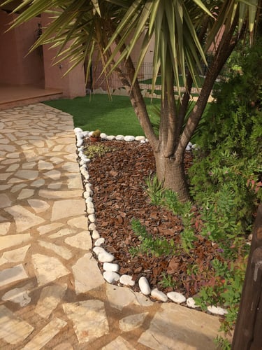 Casca de Pinheiro instalada