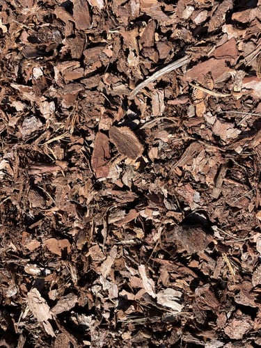 Corteza de pino Sin cribar