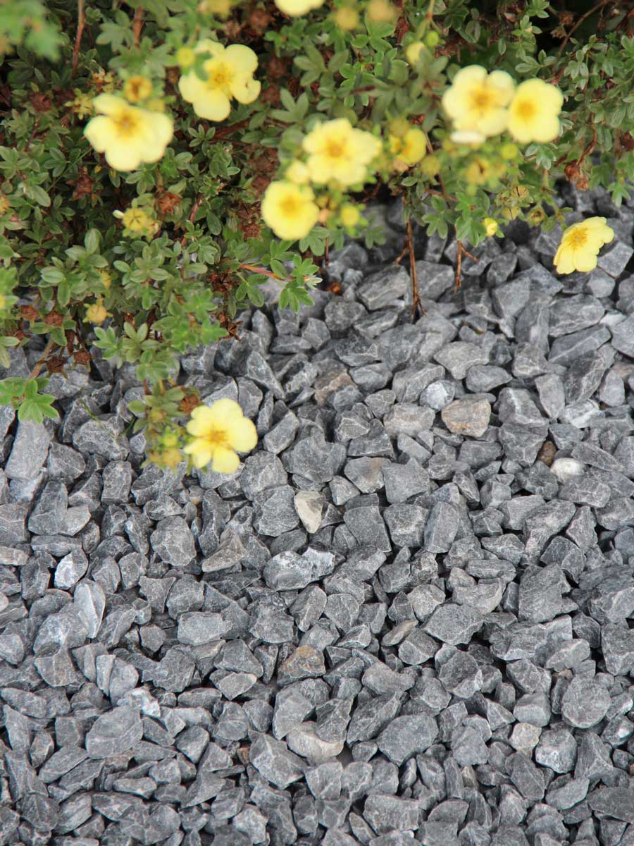 Gravier calcaire gris Ardenner concassé 8 - 16mm jardin paysagé