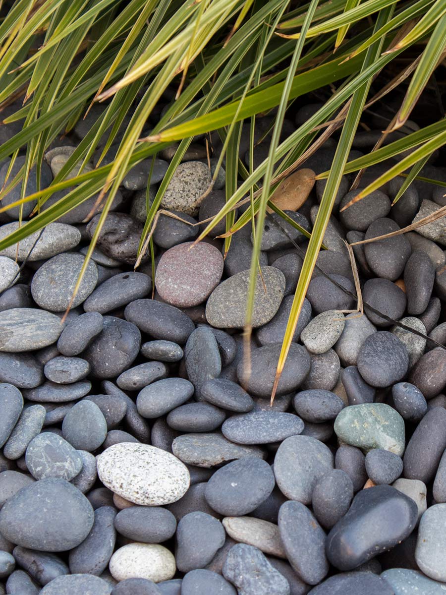 Beach pebbles noir galets 16 - 25mm jardin paysagé