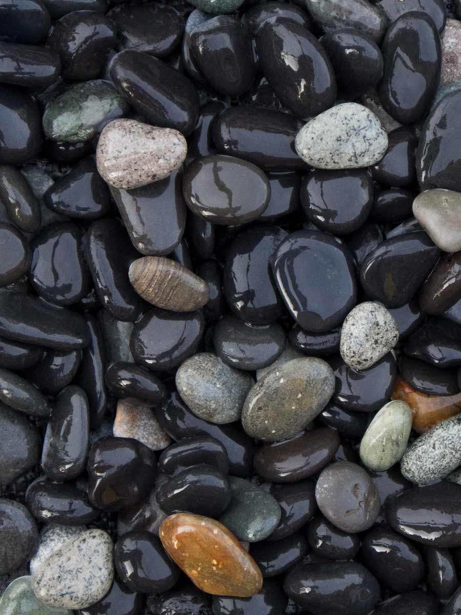Beach Pebbles Schwarz 8 - 16mm (naß)