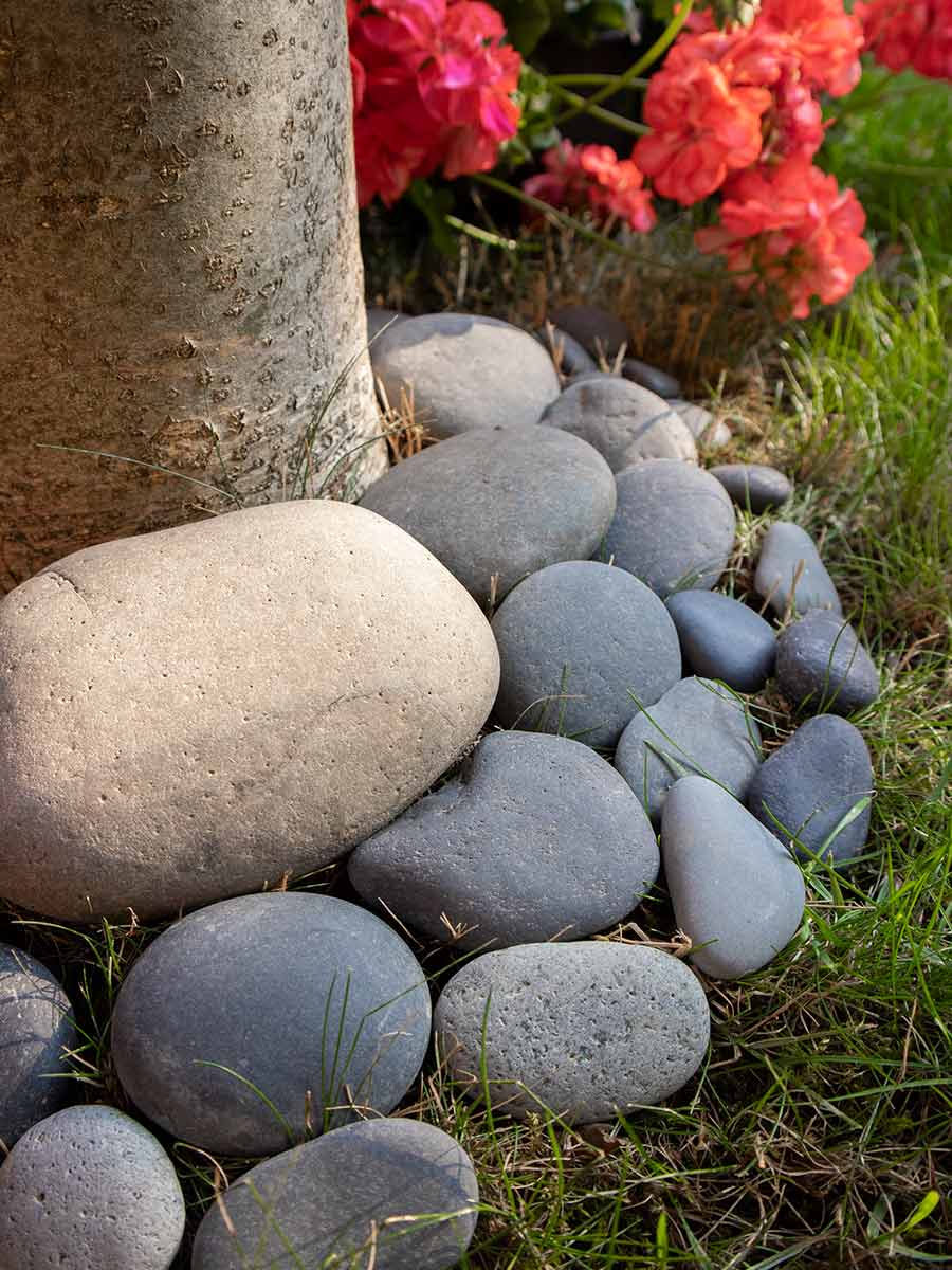 Beach pebbles noir grands galets 30 - 60mm (3 - 6cm) jardin paysagé