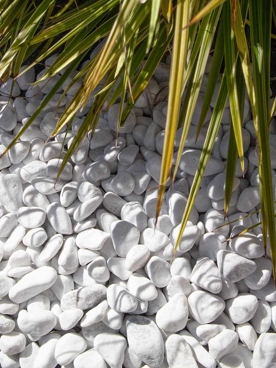 Carrara galets blanc 16 - 25mm jardin paysagé