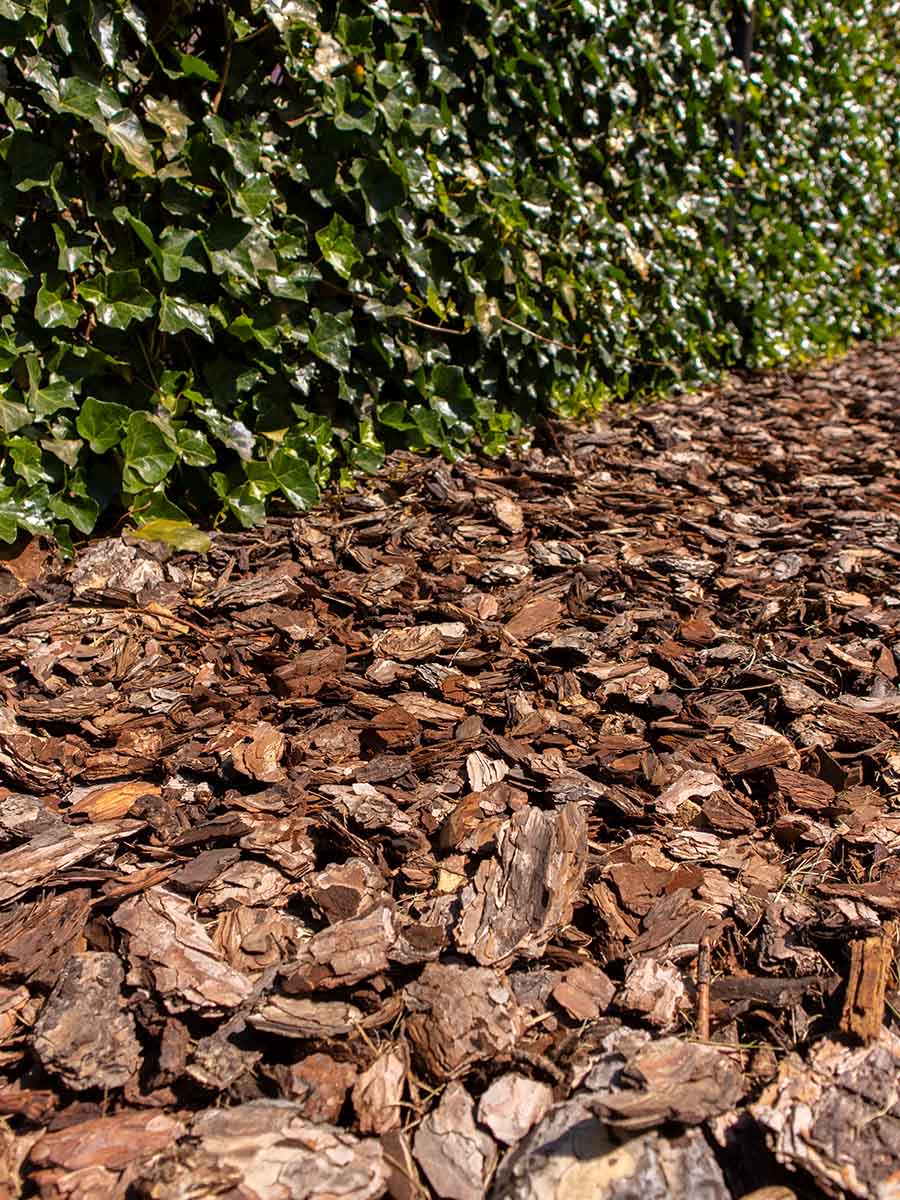 Corteza de pino 25 - 60mm instalado
