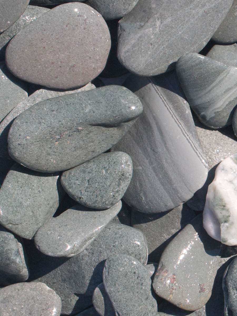 Flat Pebbles 30 - 60mm naß
