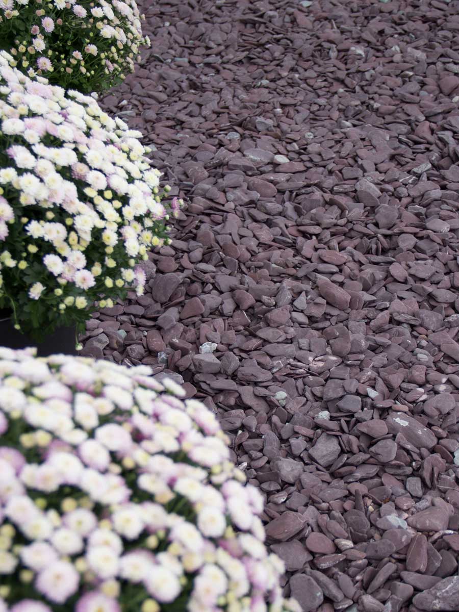 Flat pebbles violet 30 - 60mm jardin paysagé