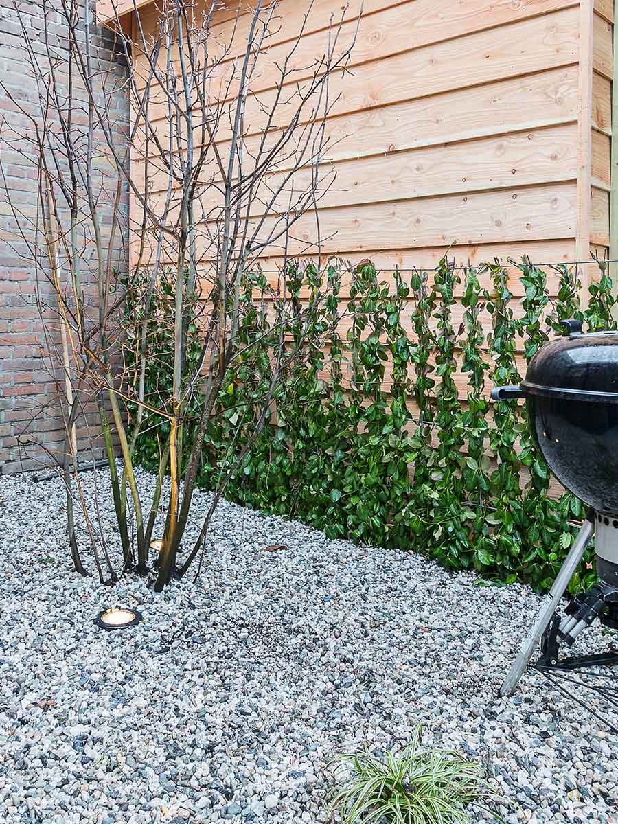 Galets de riviére blanc / gris en jardin paysagé
