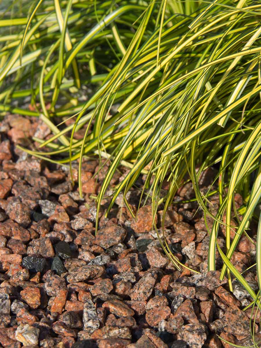 Granit Écossais gravier concassé jardin paysagé (humide)
