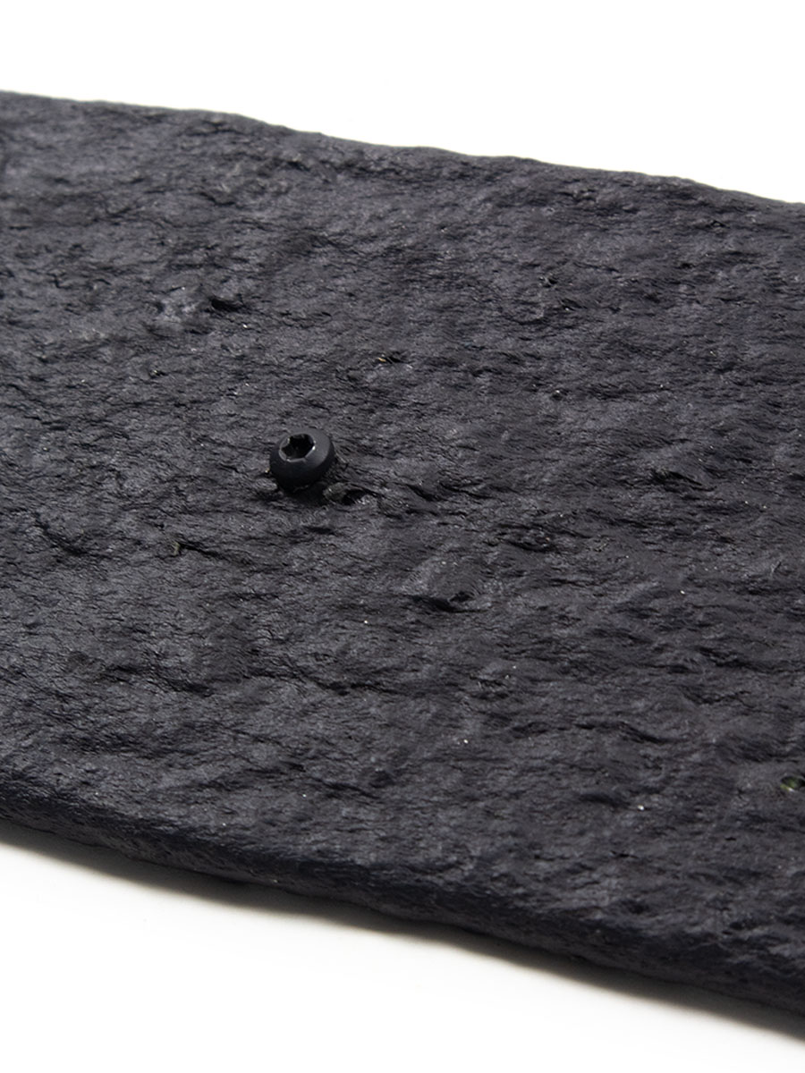 Vis en acier inoxydable pour la bordure de jardin boîte 100 pièces, noir