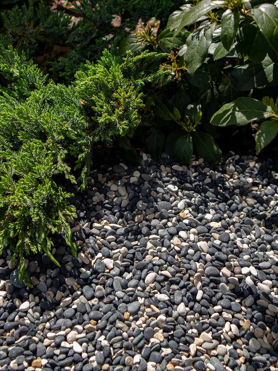 Natural Blend Pebbles 5 - 8mm jardin paysagé