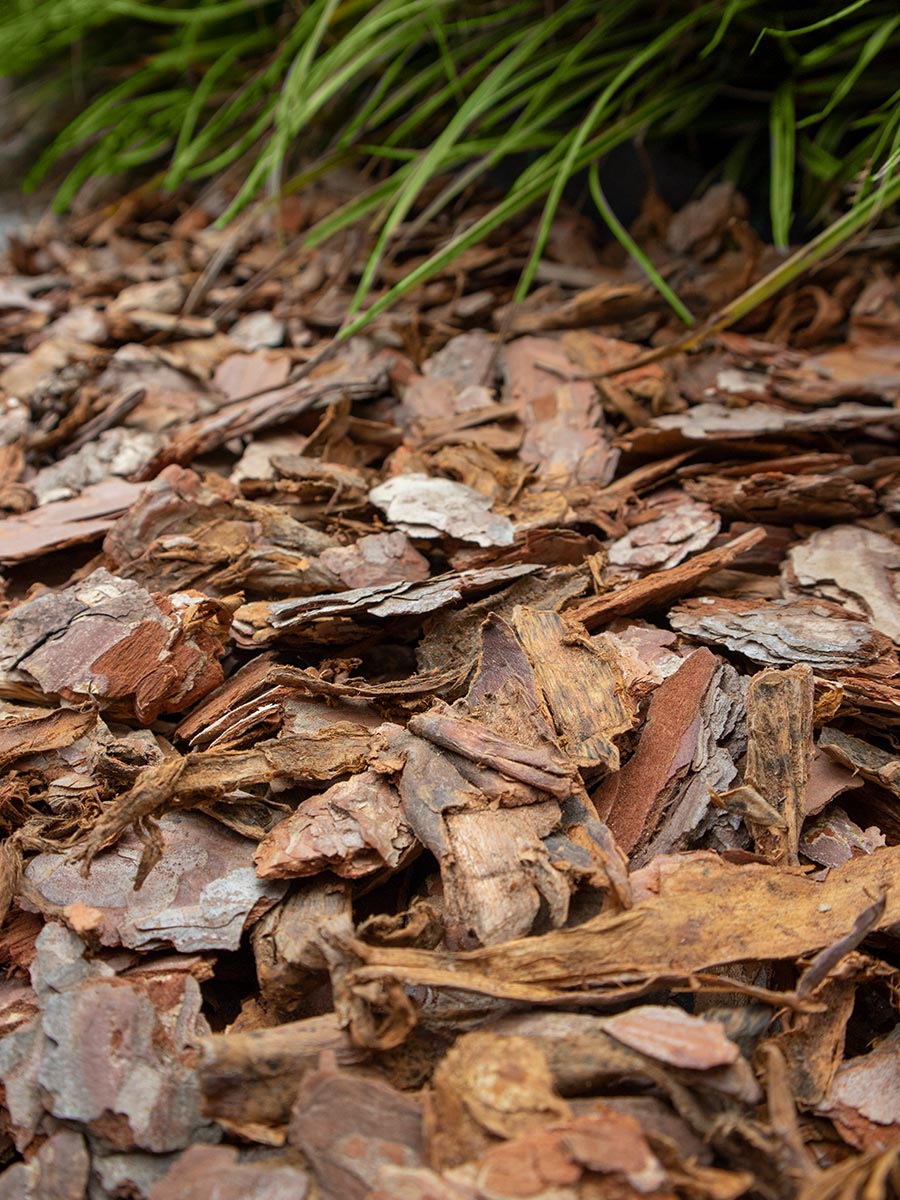 Rindenmulch 25 - 40mm verlegt