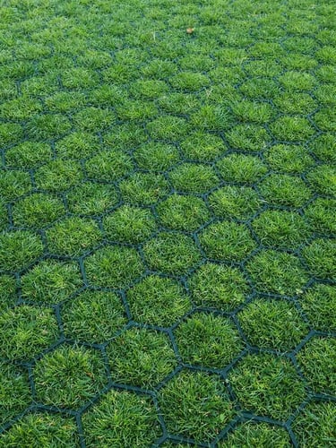 Dalles à engazonner Easygravel 3XL vert