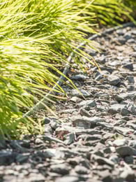Bordure de jardin Ecolat Rouleau gris 20m