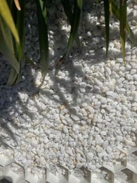 Stabilisateurs de gravier EuroGravel PLUS blanc par m2