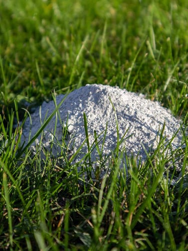 Fertilizante de Cal Dolomítica