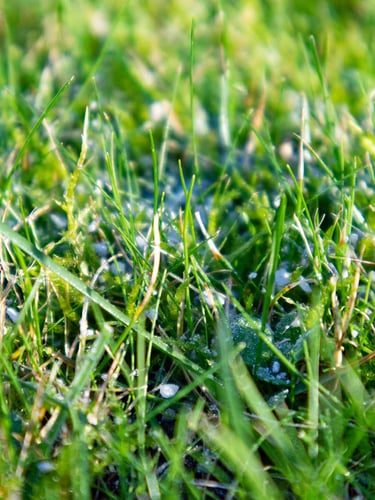 Fertilizante de Cal Dolomítica