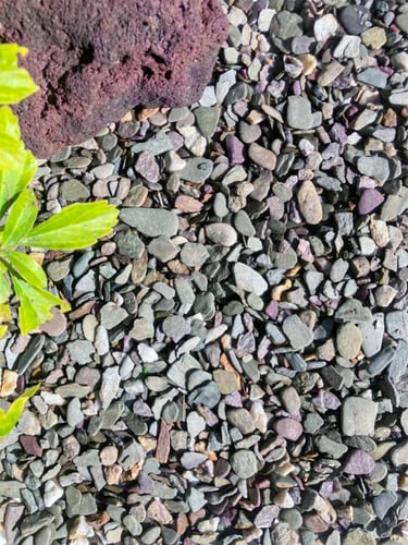 Flachkorn 8 - 16mm aangelegd