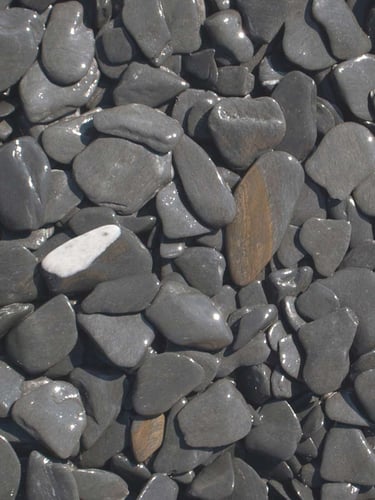 Flat Pebbles Schwarz 15 - 30mm (naß)