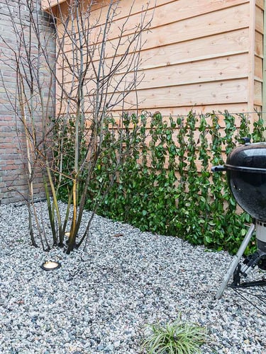 Galets de riviére blanc / gris en jardin paysagé