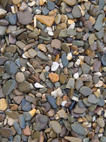 Grain plat galets 8 - 16mm (humide)