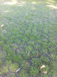 Grasdallen Easygravel 3XL zwart per m2