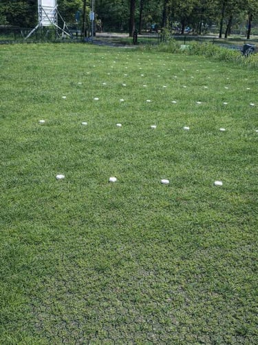 Grass Grids Easygravel 3XL black parking space