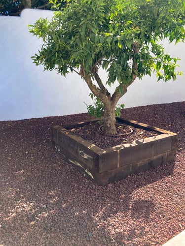 Gravilha Vulcânica Vermelha instalada