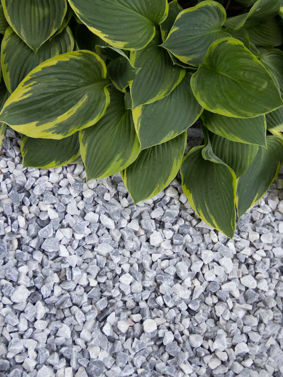 Graviers décoratifs de jardin en vente en Belgique