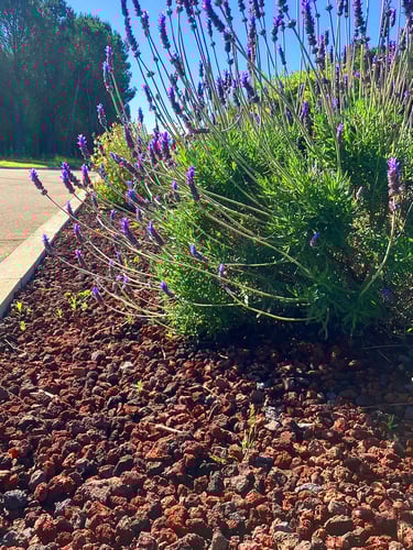 Pouzzolane lave concassé 8 - 16mm paysagé