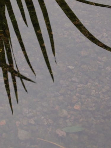 Lavakorrel aangelegd in zwemvijver