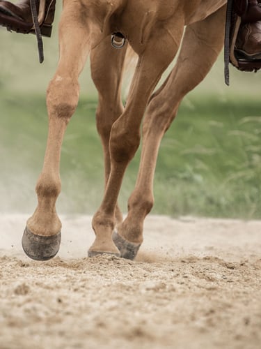 M3C Zand / Paardenbakzand 0,2 - 0,3mm