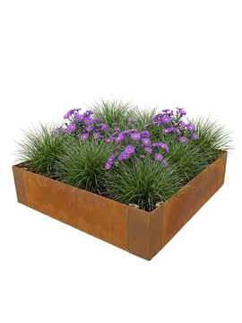 Multi-Edge ADVANCE Acier Corten Jardinière 60x60x20cm paysagé