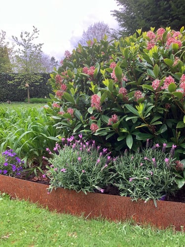 Bordures de jardin Multi-Edge METAL Acier Corten