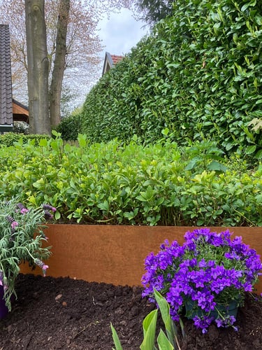 Bordure de jardin Multi-Edge METAL Acier Corten 150x37,5cm